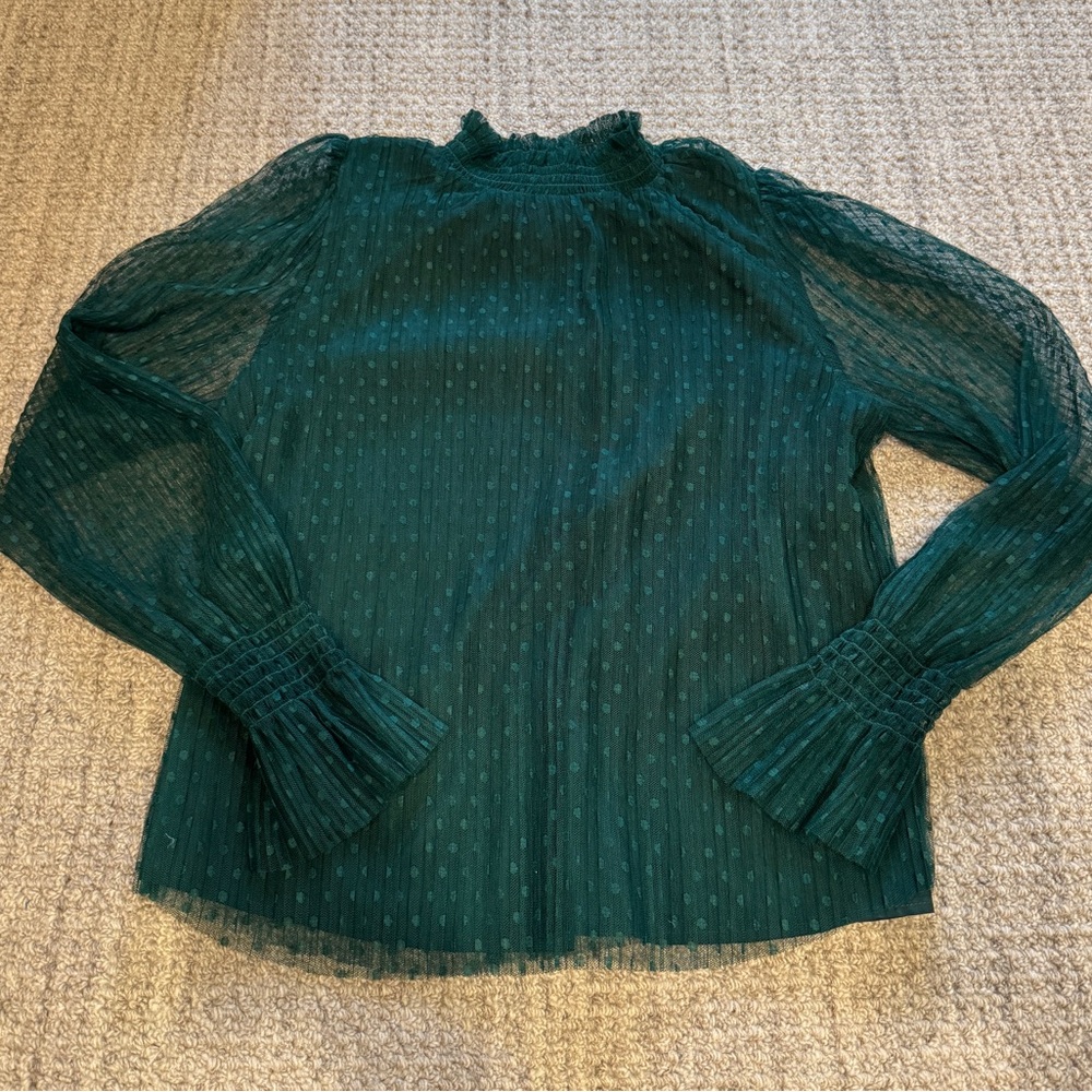 Elegant Green Sheer Blouse